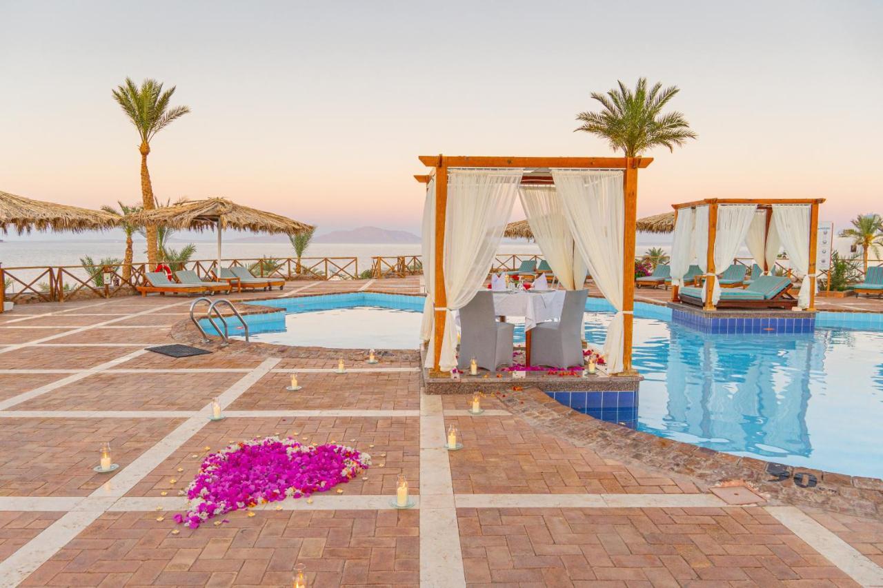 Club Reef Resort & Spa 沙姆沙伊赫 外观 照片
